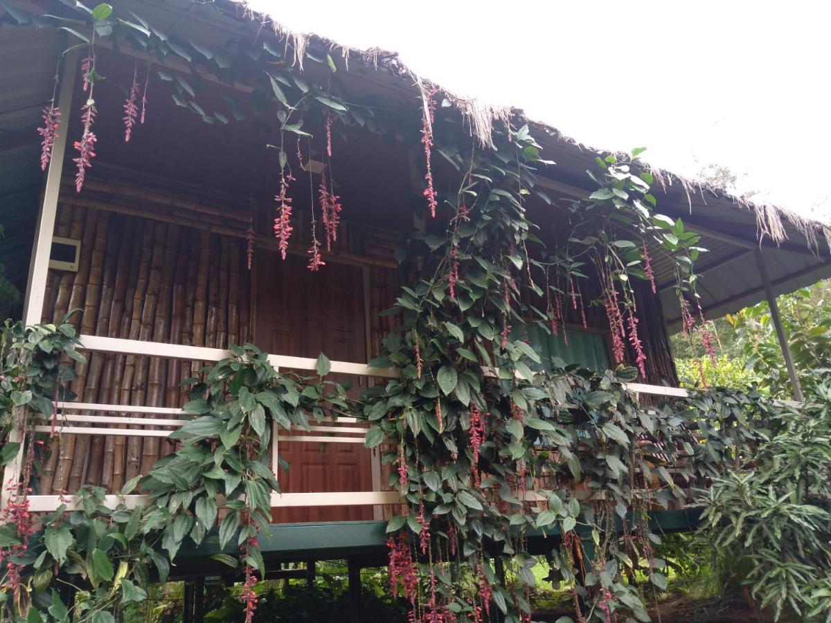 Koomankolly Resort Thirunelly Exterior foto