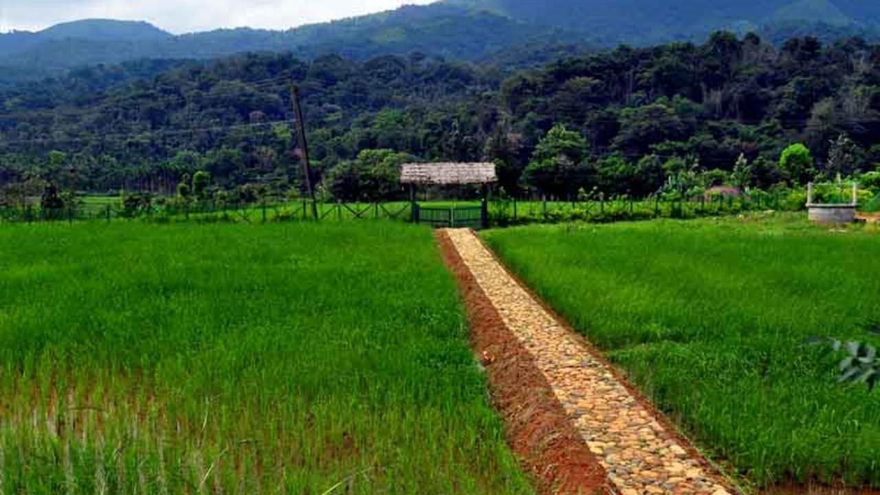 Koomankolly Resort Thirunelly Exterior foto